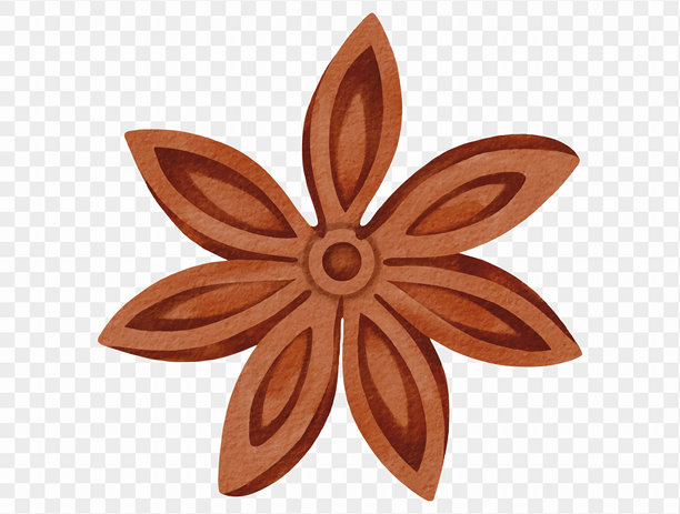 矢量八角水彩香料插画，适用于秋季感恩节美食设计。图片下载