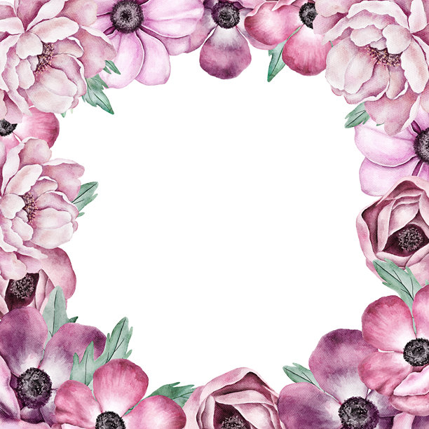水彩花卉边框，饰有粉色牡丹和银莲花，呈方形排列。优雅的手绘插画，非常适合用于婚礼请柬、贺卡、海报或包装设计。图片下载