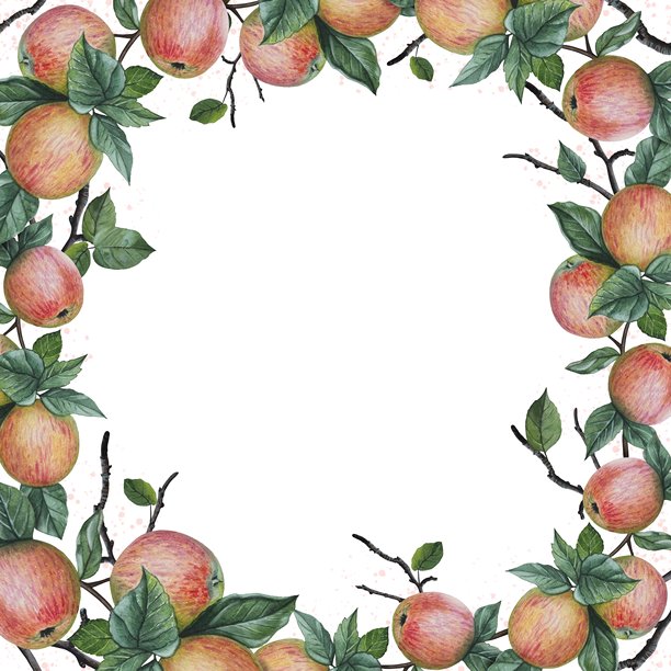 手绘边框，内有成熟的苹果和叶子。水彩插画。图片下载
