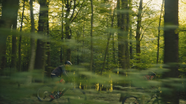 充满活力的男骑行者正骑着山地车穿过茂密的绿色林地图片下载