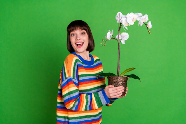 照片：一位快乐、惊讶、年轻、开心的女性，手捧盆栽植物，在绿色背景的户外花园里，背景为绿色。图片下载