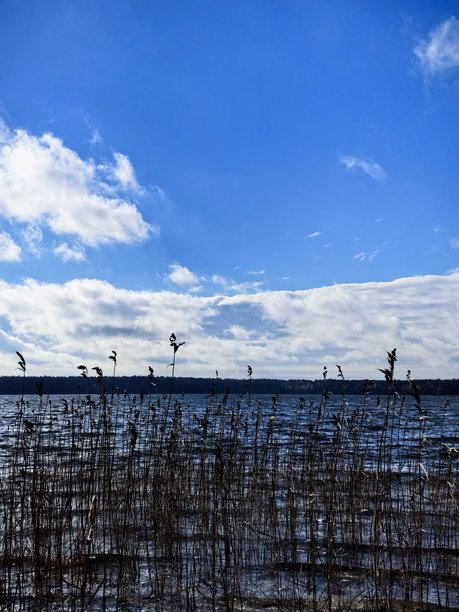 秋季景观，秋季自然风光，湖边，秋季森林，自然之美，美丽的风景照片，美丽的森林照片，黄叶树木，远处的森林，自然之旅，旅行，旅程，周围世界之美图片下载