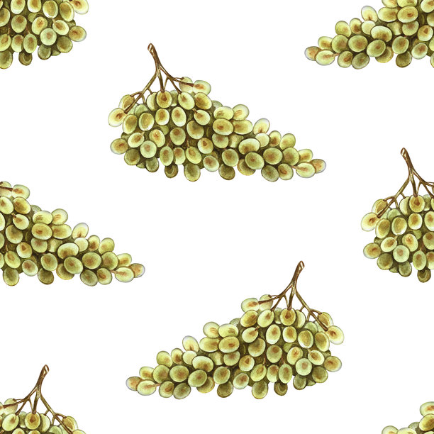 白色葡萄串的无缝图案。手绘水彩插画。彩色图像。包装和标签的设计元素。适用于纺织品和壁纸。适用于餐厅、酒吧菜单。图片下载