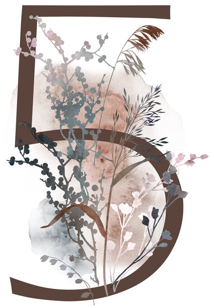 数字5，搭配棕色调的水彩秋叶与草地，冬季婚礼插画图片下载