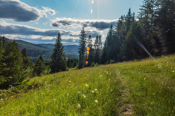 自然风光，森林，喀尔巴阡山，欧洲自然照片，东欧图片下载
