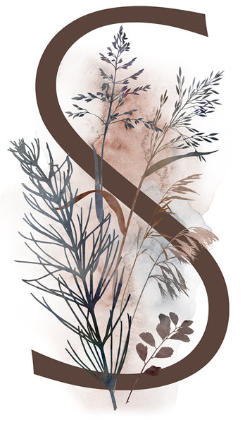 字母S，背景为水彩风格的秋叶和大地色系的草，适用于冬季婚礼插画图片下载