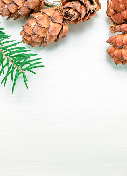 圣诞节照片，可供题词，此照片可用于圣诞节和新年主题，以及冬季主题图片下载