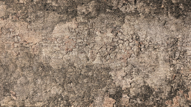 空旷的深灰色、暗棕色、米色渐变背景，带有颓废质感，复古风格，不均匀的粗糙木纹，可作为矢量图，带有复古风格的石墨或植物树皮纹理的木质背景图片下载