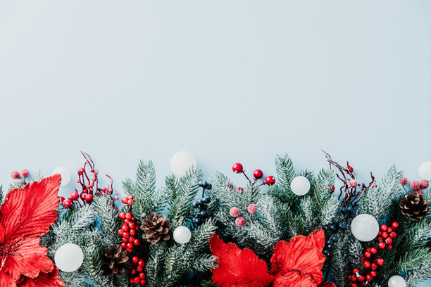 优雅的圣诞节平面布置。节日底部边框，饰有圣诞红、霜冻松枝、松果、浆果和白色装饰品，背景为浅蓝色。图片下载