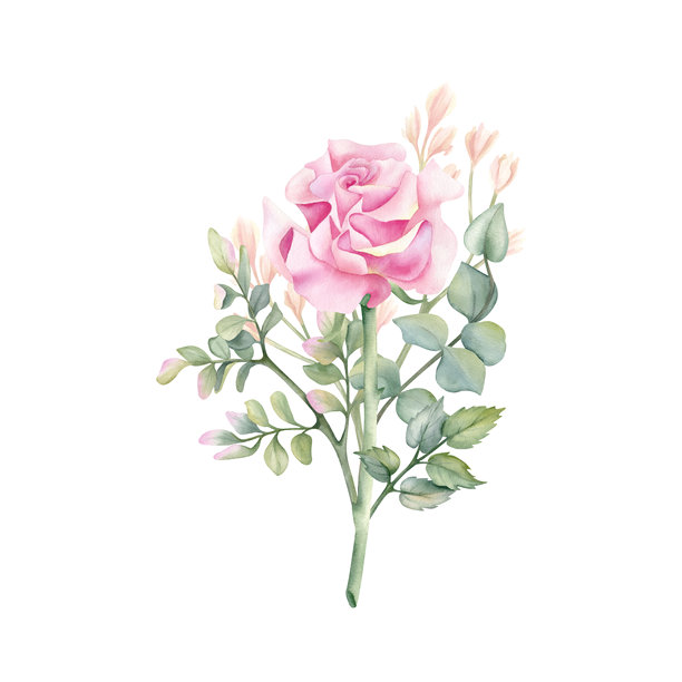 法式玫瑰，叶子，植物水彩艺术。盛开的花朵，桉树，开心果枝。精致的粉色花卉孤立插画。春季构图，适用于您的设计、纺织品、卡片图片下载