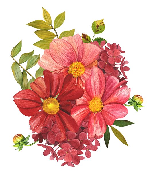 红色和粉色的大丽花。明亮的大丽花和叶子的组合。手绘水彩插画。图片下载