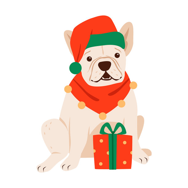 可爱的圣诞小狗穿着圣诞老人服装，带着礼物。一只有趣的斗牛犬打扮着庆祝圣诞节。适用于节日贺卡的扁平矢量插画。图片下载