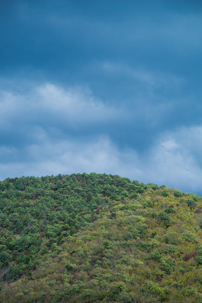 垂直照片，生机勃勃的绿色山坡与上方黑暗、戏剧性的云彩形成鲜明对比，突显了景观的自然美和大气条件。图片下载