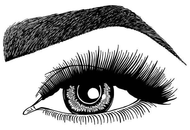 眼睛、睫毛和眉毛的女性插画图片下载