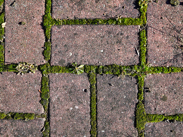 俯视照片，展示了方形网格和粗糙骨料纹理的鹅卵石铺路图案，色调温暖图片下载