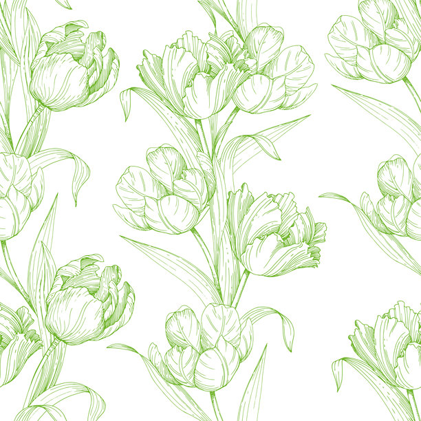 郁金香绿色轮廓无缝图案。郁金香手工墨水矢量插画。用于卡片、封面、印刷品、产品标签和织物设计。图片下载