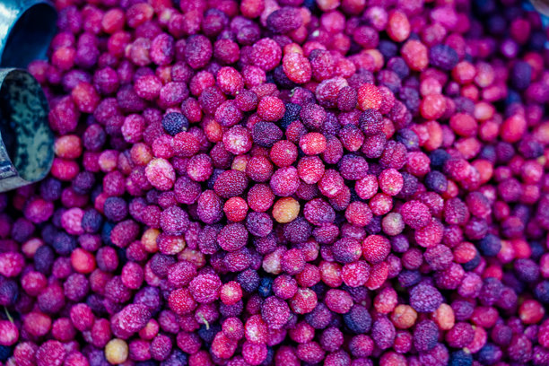 野生浆果的特写视图图片下载