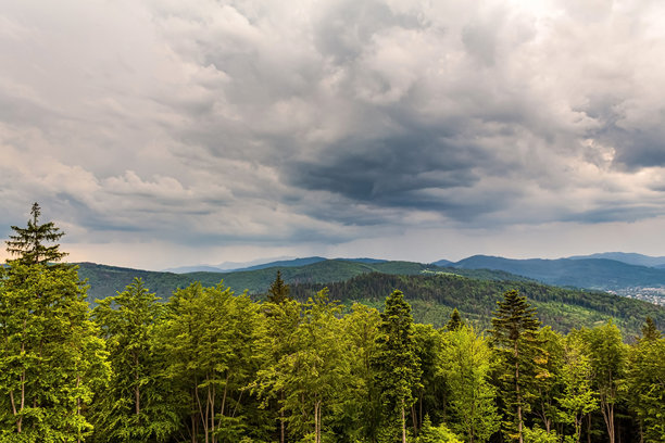 风光，森林，喀尔巴阡山，欧洲自然照片，东欧图片下载