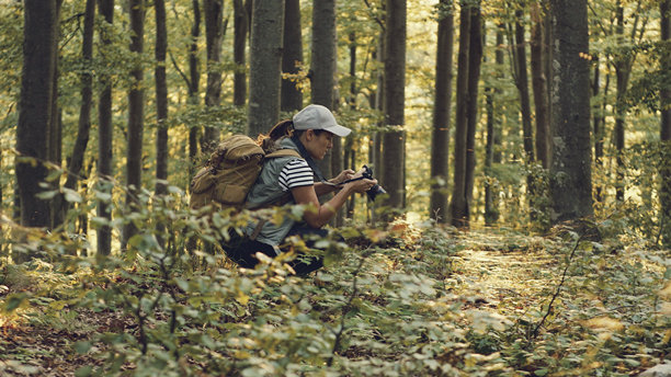 旅行摄影师用老式胶片相机拍摄独特的鸟类照片图片下载