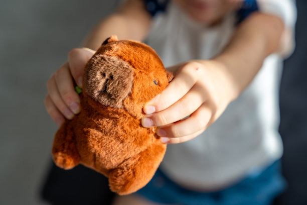 孩子手中抱着毛绒水豚玩具。图片体现了Z世代对网络流行吉祥物和软玩具舒适美学的喜爱。图片下载