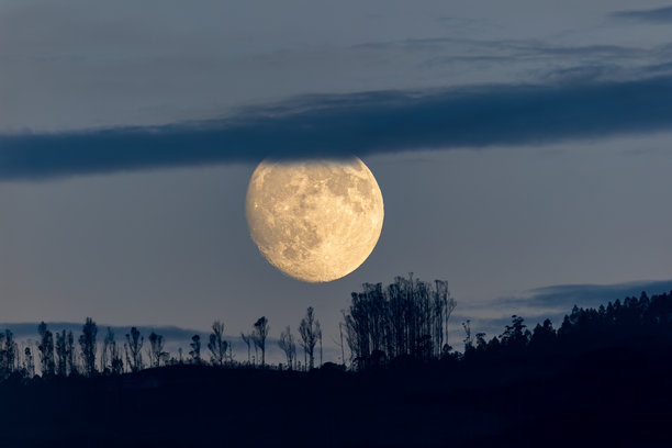 拍摄巨浪、海鸟飞翔和近乎满月的照片！图片下载