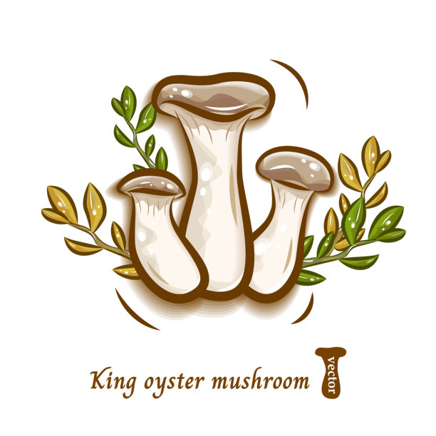 插画：杏鲍菇和森林叶子 | 流行可爱的蘑菇矢量素材图片下载