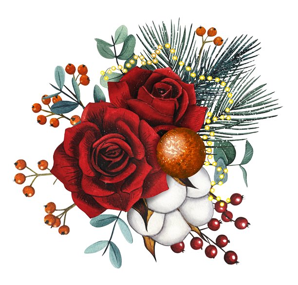 手绘圣诞花束，包含红玫瑰、桉树、棉花、云杉枝和红浆果。水彩插画。图片下载