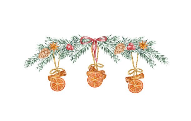 手绘水彩插画，松枝间悬挂着橙子和蝴蝶结，非常适合用于节日边框、产品标签、礼品包装以及质朴的圣诞贺卡或海报设计。图片下载