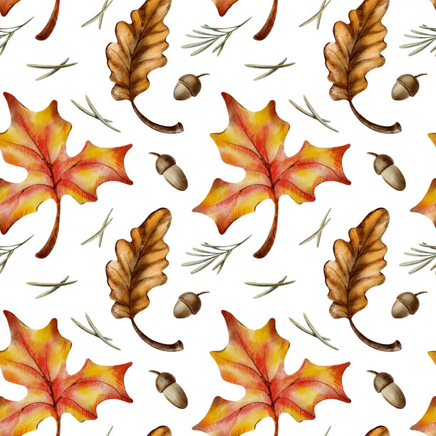 秋季枫叶和橡树叶的无缝图案，带有橡子、树枝和松针，象征着落叶、丰收和自然的枯萎。水彩和铅笔插画图片下载