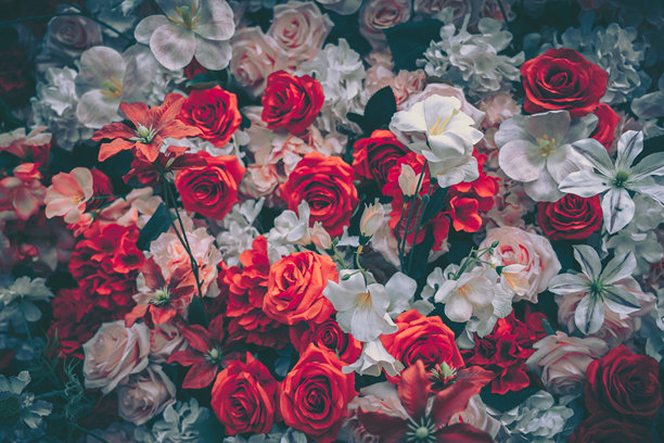 各种庆祝活动背景的复古人造花卉展示，采用鲜艳的红色和柔和的白色。图片下载