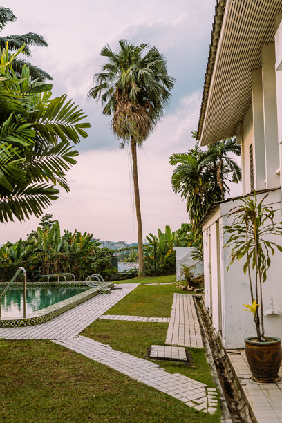 热带风情住宅照片，配有闪闪发光的游泳池，坐落于生机勃勃的绿色植物之中。图片下载