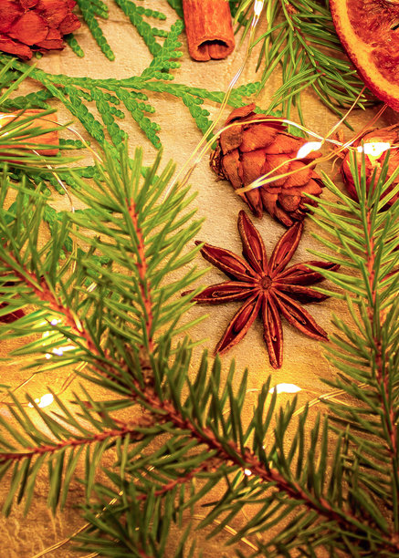 圣诞节主题照片，以天然八角、肉桂棒、冷杉枝、松果和干橙片为特色。图片下载