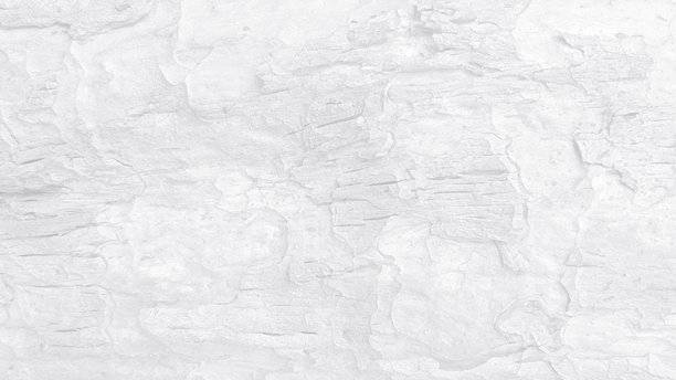 空白的白色、风化、做旧、有纹理的、复古风格的、粗糙的、不平整的、质朴的、有年代感的、带有复古风格的树皮木纹背景图片下载