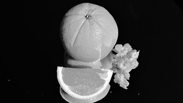 黑白照片中，橙子如同月亮般在黑暗中散发出苍白的光芒。它们镜像般的身影漂浮在失去色彩和温暖的背景之上。佛罗里达州，2025年11月1日图片下载