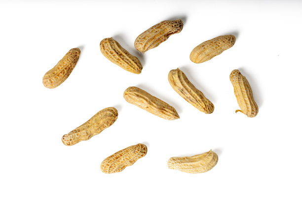 高分辨率照片，一张虎纹花生，孤立在白色背景上，用4500万像素高分辨率相机拍摄图片下载
