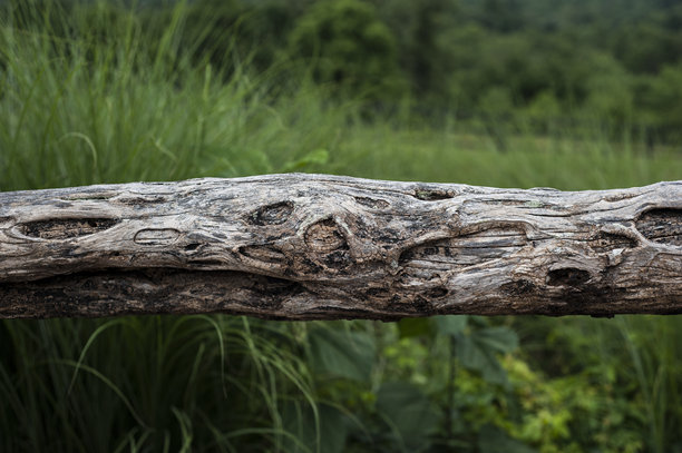 老旧原木栅栏自然风光素材图图片下载
