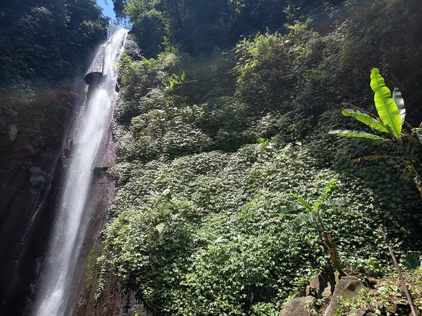 探索隐藏在葱郁绿色丛林中的宁静瀑布，是旅游博客、自然纪录片和热带度假宣传的理想素材图片下载