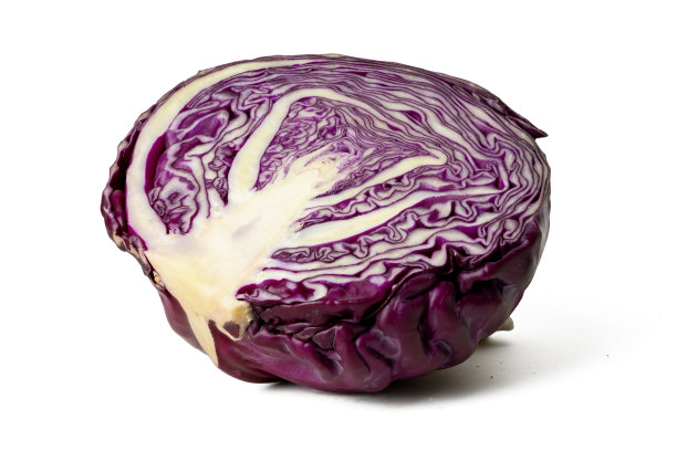 高分辨率照片，展示新鲜的紫色卷心菜，白色背景下分离，使用4500万像素高清相机拍摄图片下载