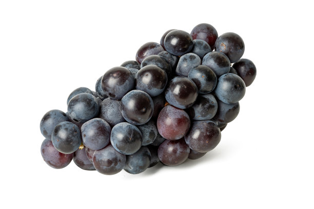 新鲜的京都葡萄在白色背景下的高清照片，使用4500万像素高清相机拍摄图片下载