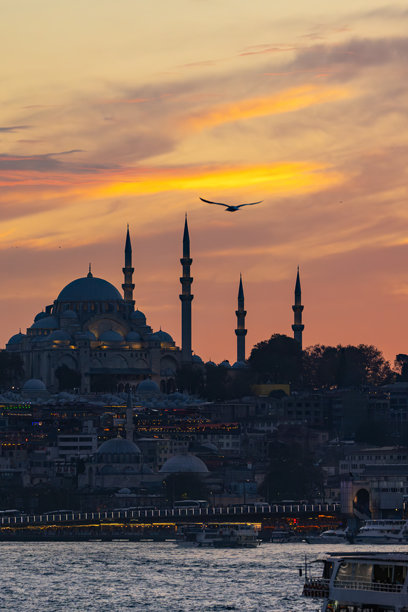 苏莱曼尼耶清真寺（Suleymaniye Camii）无人机航拍照片，位于土耳其伊斯坦布尔的埃米诺努·法提赫区图片下载