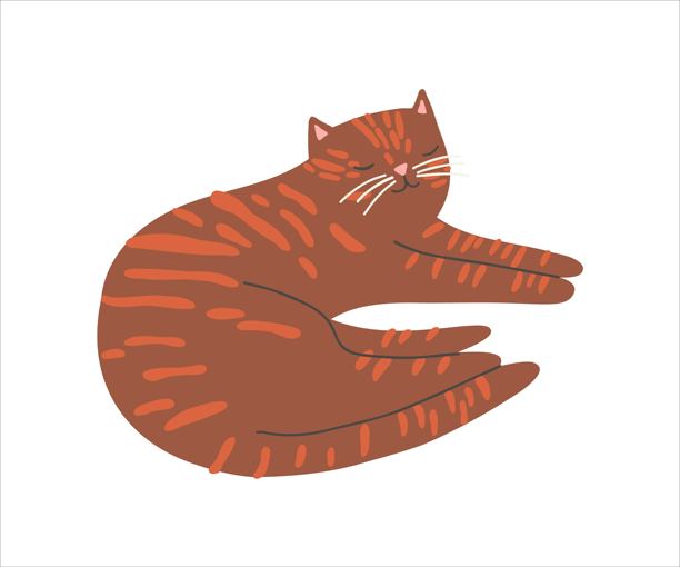 可爱的红虎斑猫扁平插画。儿童矢量扁平插画，孤立在白色背景上图片下载