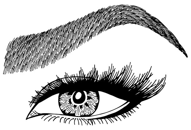 女性的眼睛、睫毛和眉毛的插画。图片下载
