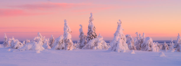 北方冬季日落景观。树木覆盖着雪。冬日仙境。全景自然风光。用于背景、壁纸、明信片的照片。图片下载