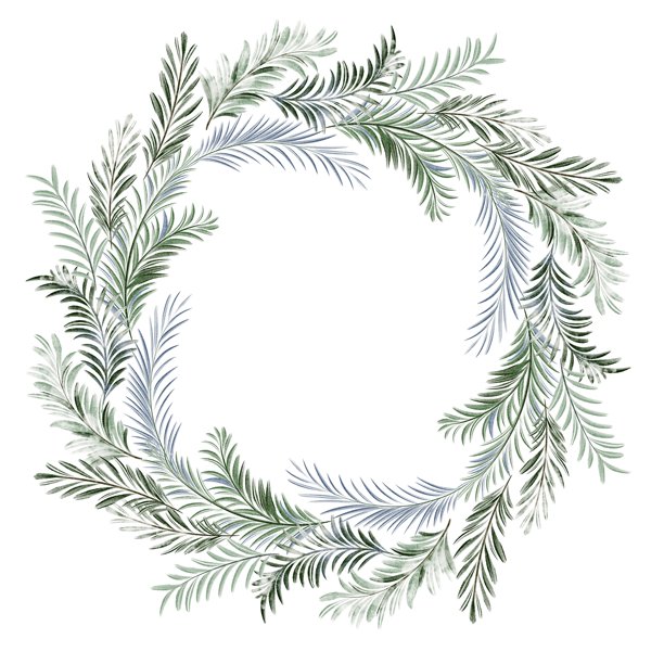 松树和云杉圣诞花环水彩插画图片下载