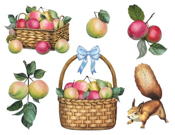 手绘苹果、篮子、松鼠套装。丰收的水彩插画。图片下载