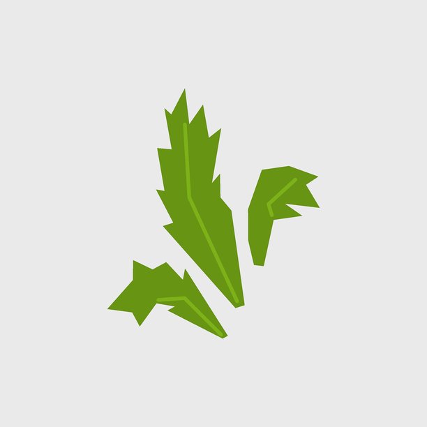 新鲜芝麻菜插画。适用于农贸市场宣传的绿叶蔬菜简约图标。极简扁平风格的收获沙拉蔬菜矢量符号。图片下载