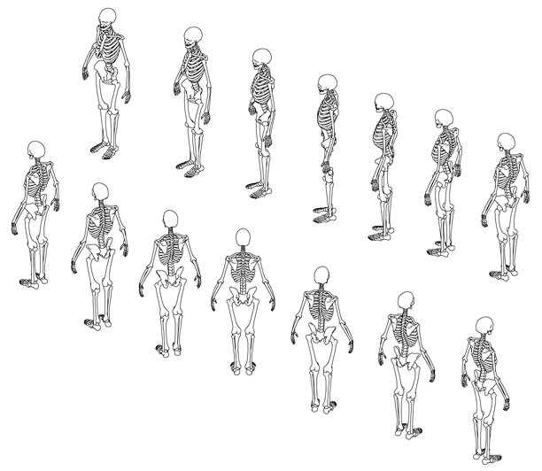 人类骨骼在不同站姿和坐姿下的组合图，展示了正面和背面的解剖视图，骨骼和关节轮廓清晰，采用黑白线条插画风格，并以等距视角呈现。图片下载