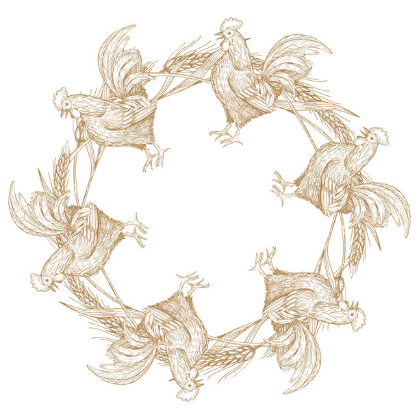 公鸡和麦穗组成的圆环。矢量墨水风格的手绘插画。适用于包装设计、卡片、封面、印刷品、产品标签和织物。图片下载