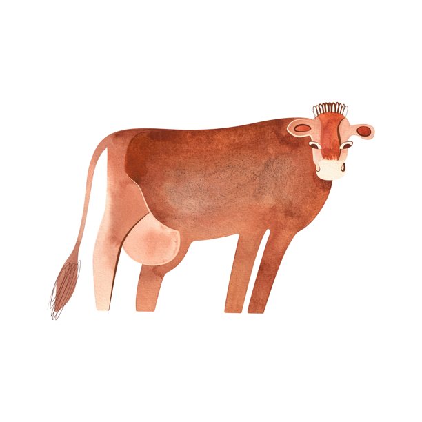 泽西牛是英国一种小型奶牛。奶牛。适用于包装、儿童读物和百科全书的插画。复古风格的水彩插画，孤立。剪贴画。图片下载