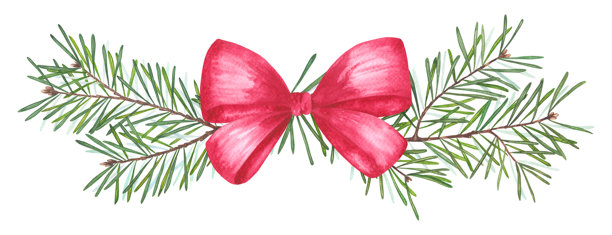 松枝水彩插画，带有红色蝴蝶结。图片下载